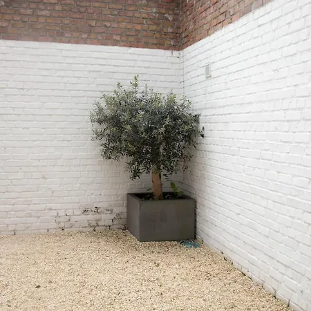 House In At 5 Min Walk From The Sea Holiday home
